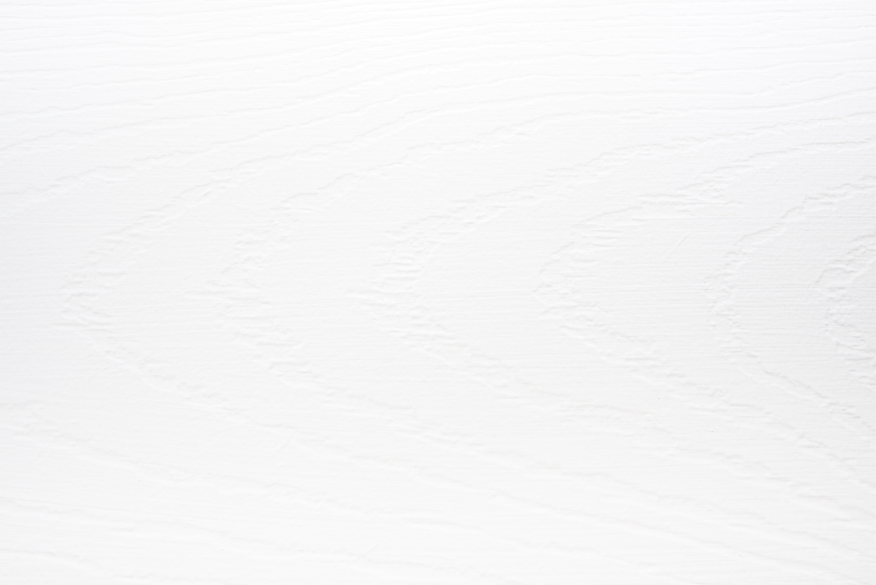 white wood texture. white wood background.